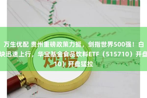 万生优配 贵州重磅政策力挺，剑指世界500强！白酒板块迅速上行，华宝基金食品饮料ETF（515710）开盘猛拉